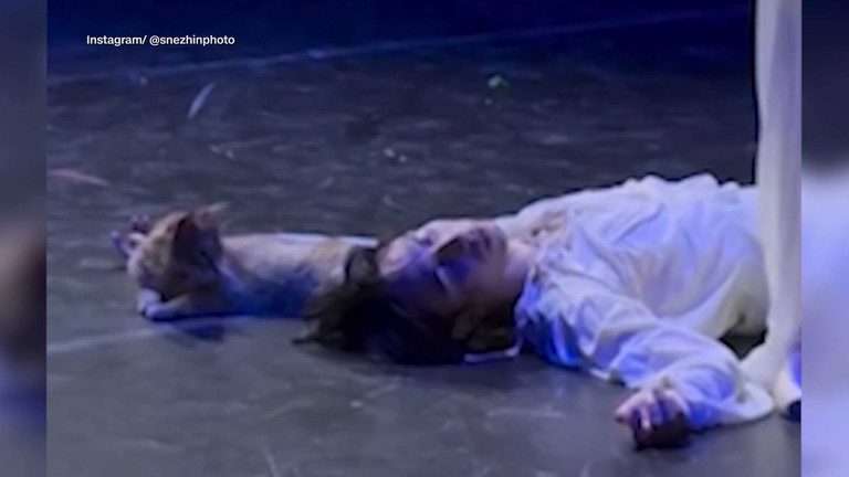 Stray Cat Crashes Romeo Juliet Performance