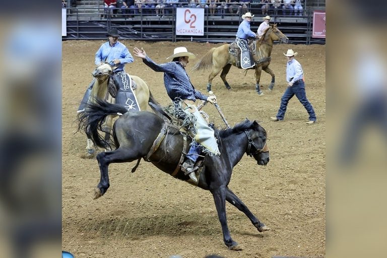 Summer Events In Cedar Park