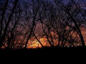 Summer Solstice Arrives