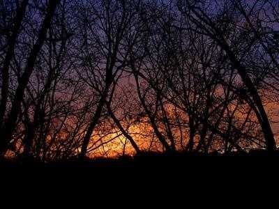 Summer Solstice Arrives