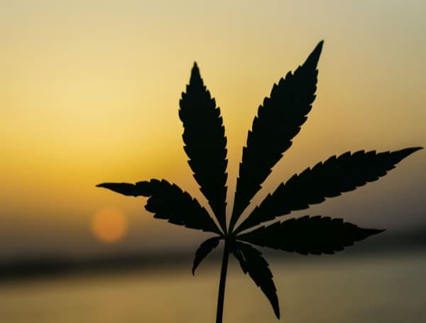 Supreme Court Strikes Down Gun Ban For Marijuana Users