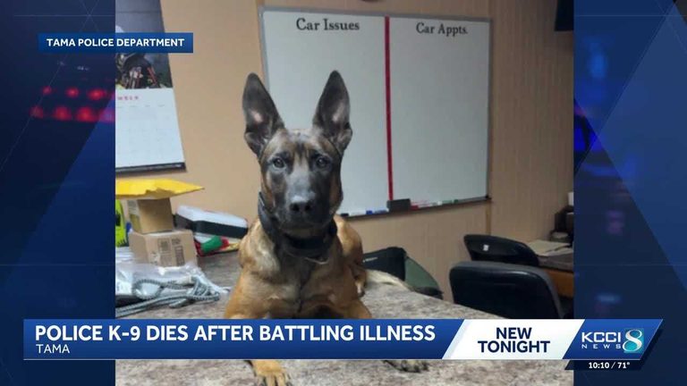 Tama Police Mourn Loss Of K 9 Creed