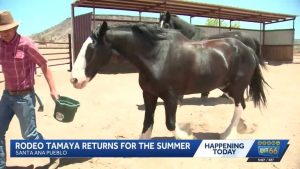 Tamaya Horse Rehab Hosts Weekly Rodeos