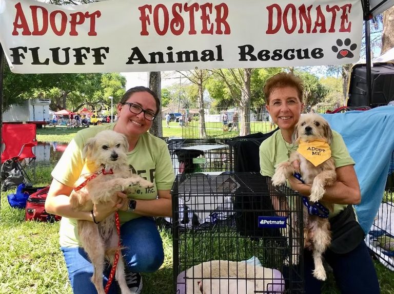 Tampa Bay Community Opportunities