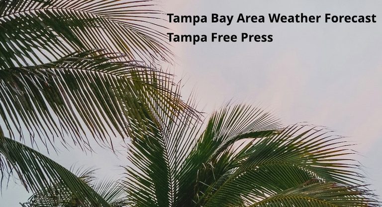 Tampa Bay Heat Wave