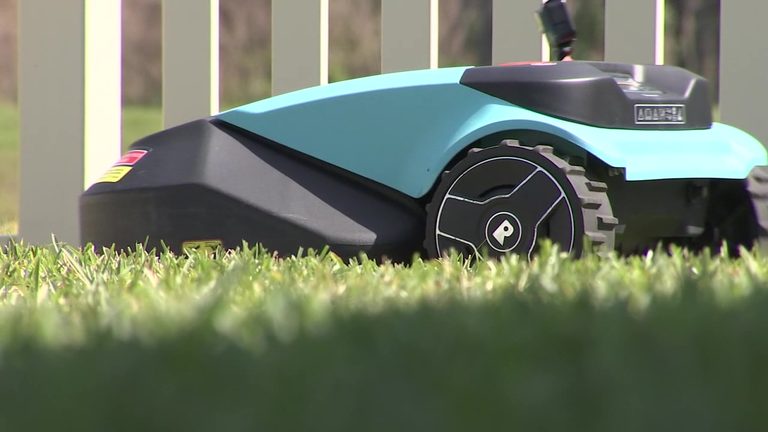 Tampa Experts Weigh In On Robotic Lawn Mowers
