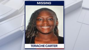 Tampa Mother Missing