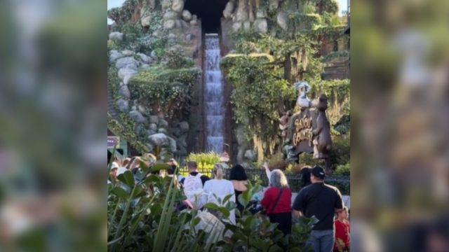 Teen Falls Down Disneyland Waterfall