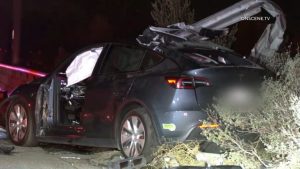 Teen Killed In Tesla Crash