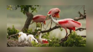 Texas Bill Proposes National Recreation Area