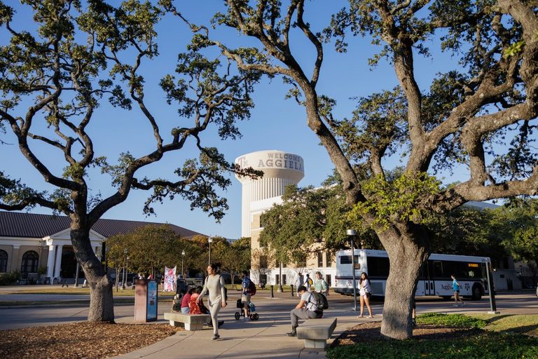 Texas College Watchdog Receives Complaints