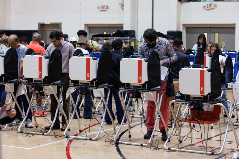 Texas Lawmakers Seek Fixes To Voter Registration System