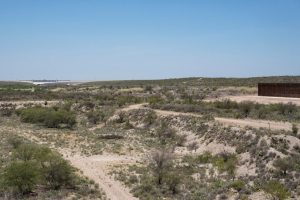 Texas Officials Identify Potential Cause Of New World Screwworm Infestations