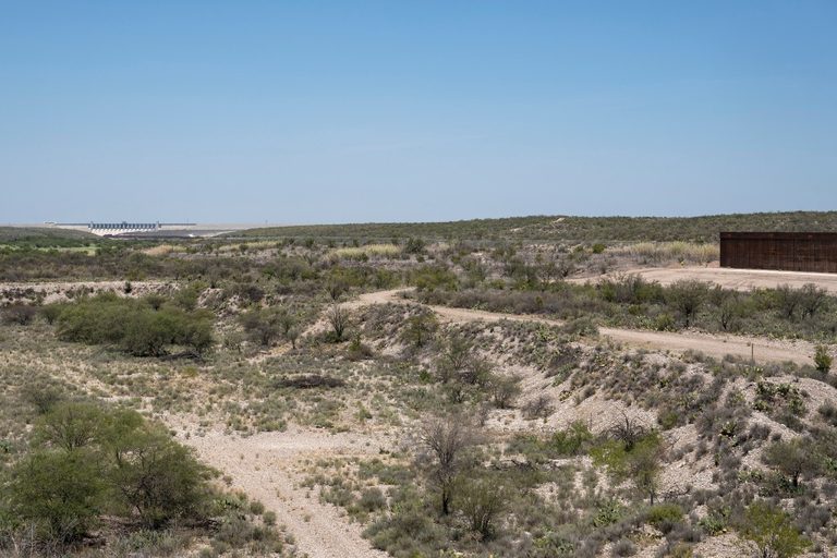 Texas Officials Identify Potential Cause Of New World Screwworm Infestations