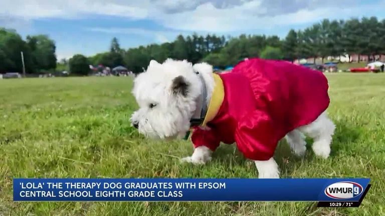 Therapy Dog Graduates With Nh Class