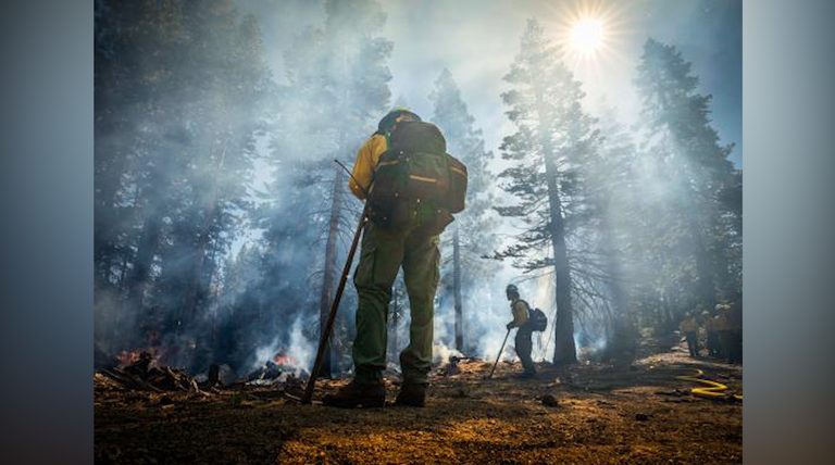 Three Firefighters Die In Colorado Wildfire