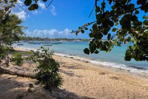 Tourist Dies In Dominican Republic Resort Fire