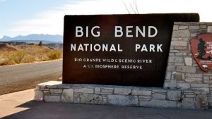 Trump Admin Bypasses Environmental Laws For Texas Border Project