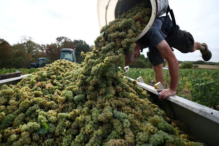 Trump Threatens 100 Tariff On French Wine