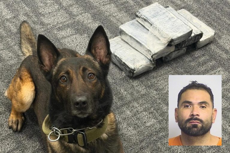 Tuscaloosa Police K 9 Uncovers 14 Pounds Of Cocaine