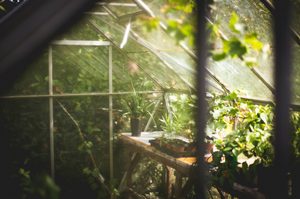 Tuscaloosa Residents Invited To Join Community Garden Build Day