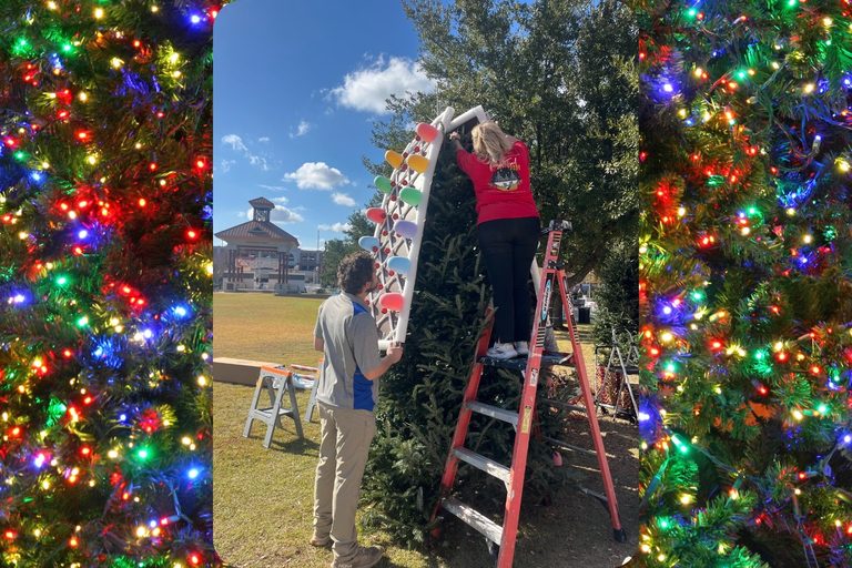Tuscaloosa S Tinsel Trail Seeks 2026 Sponsors