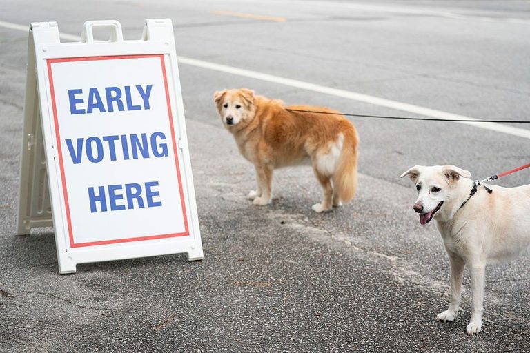Tuscaloosa Votes For Dog Mayor