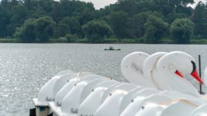 Twin Cities Lakes Water Quality