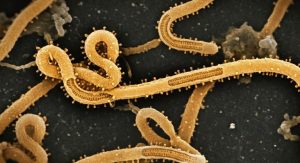U S Invests 50M In Ebola Fight