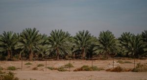 Us Settles Lawsuit Over West Bank Sanctions