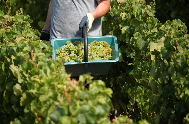 Us Wins Record Number Of Medals At World S Largest Wine Awards