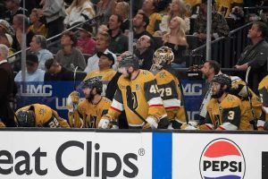 Vegas Golden Knights Promote Ryan Craig