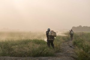 Vermont Bans Paraquat
