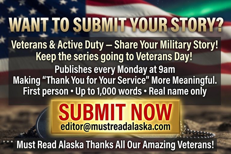 Veteran S Journey