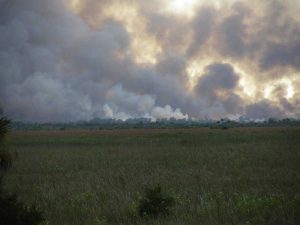 Volusia County Wildfire