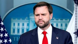 Vp Vance Reflects On Childless Cat Ladies Comment