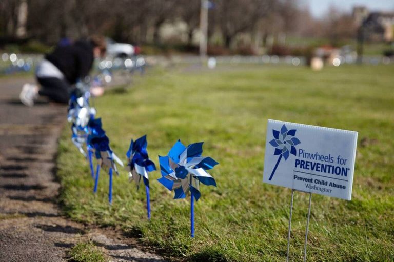 Wa Child Welfare Deaths Drop