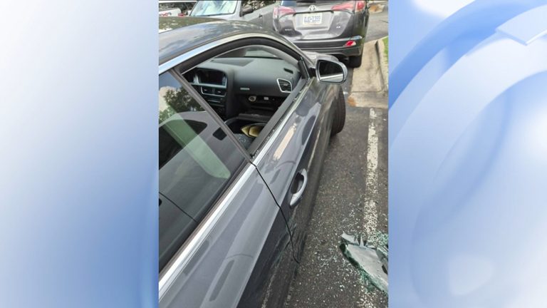 Wake County Car Break Ins