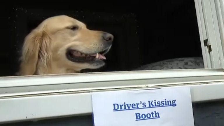 Waltham Dog Spreads Joy
