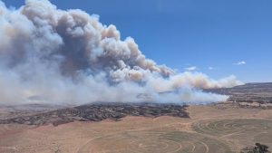 Wildfires Claim Lives Of 3 Firefighters