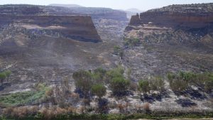 Wildfires Rage Across West
