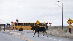 Wyoming Launches Place Based Education Microcredential