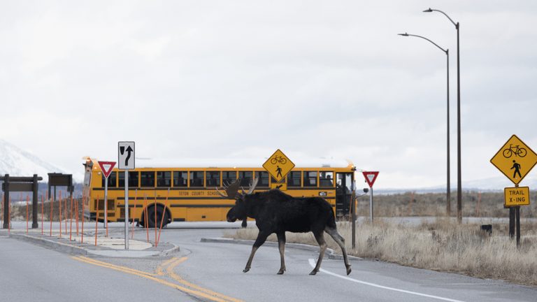 Wyoming Launches Place Based Education Microcredential