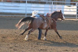 Wyoming State High School Rodeo Finals Results