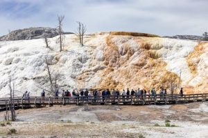 Yellowstone Sets May Visitor Record
