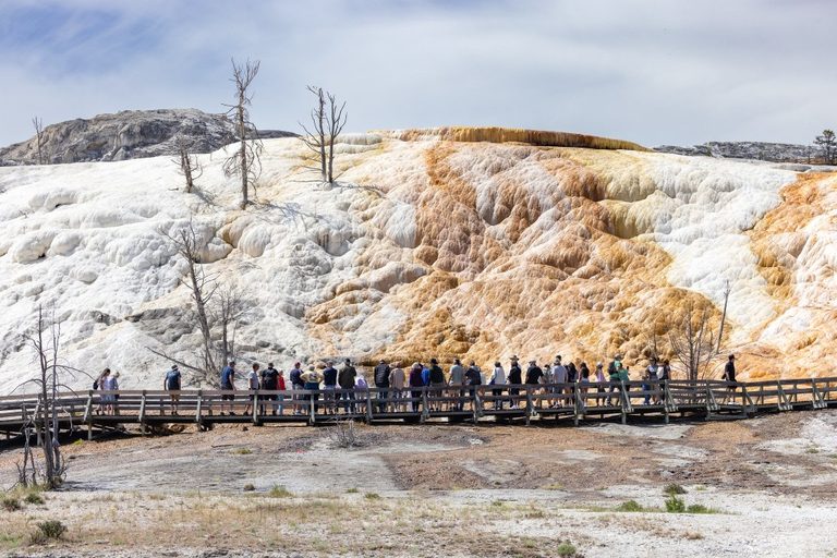 Yellowstone Sets May Visitor Record