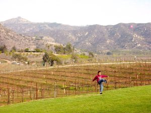 Orfila Vineyards & Winery — San Diego