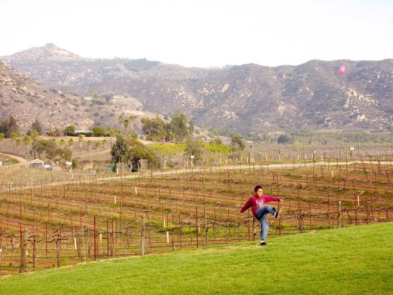 Orfila Vineyards & Winery — San Diego