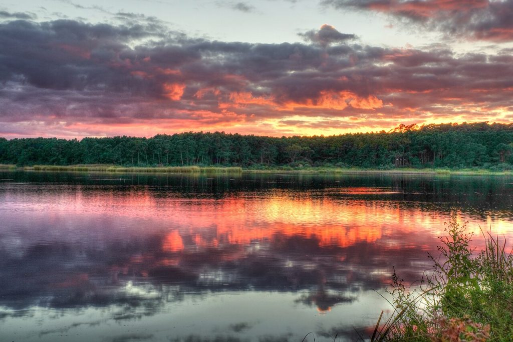 Huntington Beach State Park — Georgetown