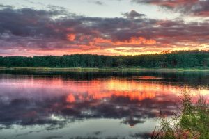 Huntington Beach State Park — Georgetown